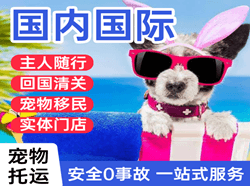 广州机场快递国际宠物托运 【国